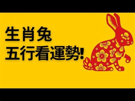 丁卯兔五行|1987年屬兔是什麼命？最全兔命命相批註！